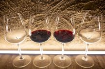 Tuscan and Italian Authentic Recipes Cooking Class