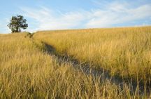 Self-Guided Driving Tour of Theodore Roosevelt National Park