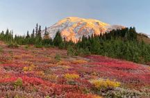 Self-Guided Driving Tour of  Mount Rainier National Park