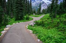 Self-Guided Driving Tour of  Mount Rainier National Park