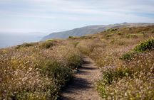 Self-Guided Driving Tour of Point Reyes National Seashore