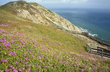 Self-Guided Driving Tour of Point Reyes National Seashore