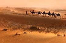 Sahara Adventure with Quad Biking, Sandboarding, Camel Ride and BBQ