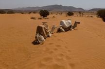 Quad Biking Adventure in the Sahara with Sunset Camel Ride and BBQ