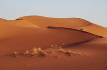 Quad Biking Adventure in the Sahara with Sunset Camel Ride and BBQ
