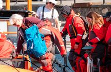 Zodiac whale watching and wildlife tour