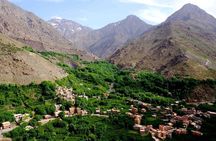 Atlas Mountains Tour with Quad Biking, Camel Ride and Berber Lunch