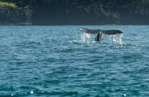 Self-Guided Driving Tour to Explore the Oregon Coast