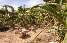 Full Day Tour at a Sustainable Farm from Saly with Lunch