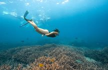Nusa Lembongan with Manta Bay snorkelling all-inclusive tour