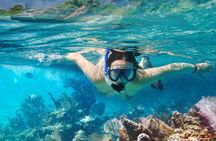Nusa Lembongan with Manta Bay snorkelling all-inclusive tour