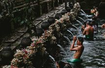 Guided tour of Bali highlights with Tegallalang Rice Terraces