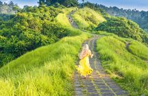 Ubud highlights full-day tour with monkey forest and rice terraces