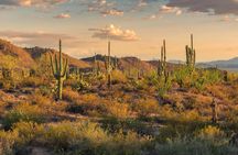 Arizona tours: self-guided driving bundle (9+ tours)