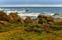 Big Sur And 17 Mile Drive: Self-Guided Tours Bundle