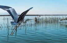 Albufera Natural Park with Sunset Boat Tour from Valencia