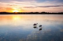 Albufera Natural Park with Sunset Boat Tour from Valencia