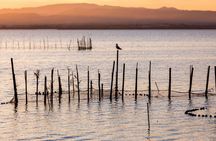 Albufera Natural Park with Sunset Boat Tour from Valencia