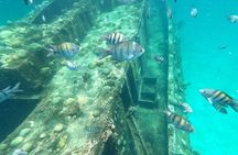 Turtle and Shipwreck Snorkel Adventure in Barbados