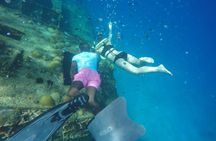 Turtle and Shipwreck Snorkel Adventure in Barbados