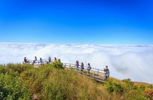 Hiking Experience to the Highest Spot in Chiang Mai