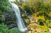 Hiking Experience to the Highest Spot in Chiang Mai