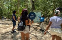 Coba, Chichen Itza, Cenote and Valladolid Tour with Lunch