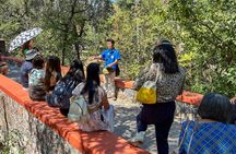 San Miguel de Allende guided tour from Mexico City