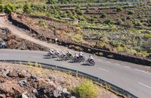 Guided Cycling Tour to Mount Teide in Tenerife