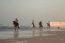 Horseback Riding Adventure to Discover Dakhla's Nature