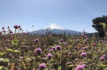 Mt Fuji Day Tour with Kawaguchiko Lake