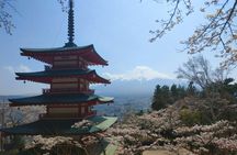Mt Fuji Day Tour with Kawaguchiko Lake