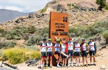 Guided Cycling Tour to Mount Teide in Tenerife