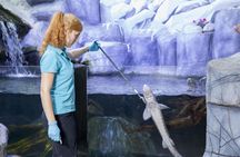 Legoland Discovery Centre and Sea Life Oberhausen Combo Ticket