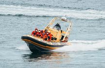 Zodiac Whale Watching Adventure From Victoria