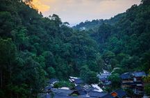 Mae Kampong Village from Chiang Mai Exploration Tour