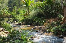 Mae Kampong Village from Chiang Mai Exploration Tour