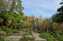 Chiang Mai Highlights Full-Day Guided Tour with Pickup