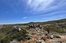Full-day 4x4 experience of western Milos