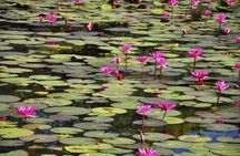 Full-Day Trip to Giverny and Claude Monet's House and Gardens from Paris