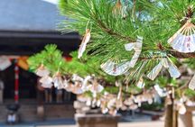 Osaka to Iga, Amanohashidate and Miyama's Thatched Cottages Day Tour