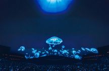 Sphere Experience Featuring Darren Aronofsky’s Postcard from Earth