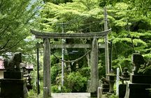 Day Trip to Sacred Shrines and Natural Wonders from Fukuoka