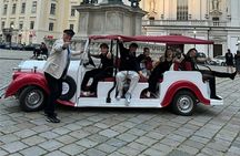 10 Seater Electric Classic Car Tour in Vienna