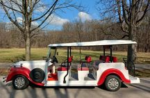 10 Seater Electric Classic Car Tour in Vienna