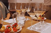 Small Carpathian Route Wines Tasting Tour in Bratislava City Center