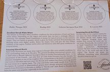 Small Carpathian Route Wines Tasting Tour in Bratislava City Center