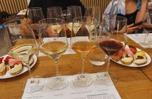 Small Carpathian Route Wines Tasting Tour in Bratislava City Center