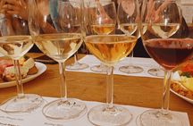 Small Carpathian Route Wines Tasting Tour in Bratislava City Center