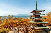 Day Trip to Mount Fuji, Yamanaka Lake, and Kawaguchiko Lake